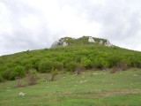 26. Zir